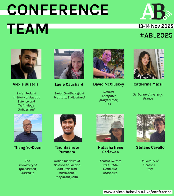 conf_team_vertical